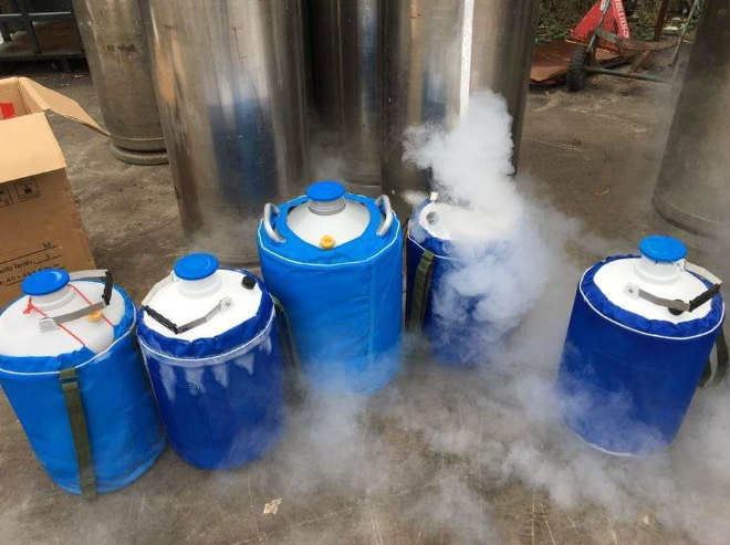 液氮罐 液氮罐